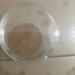 Lot of Indian Head Pennies